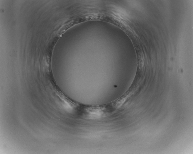 X0000075860661200609151227