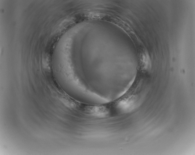 X0000075860663200609151227