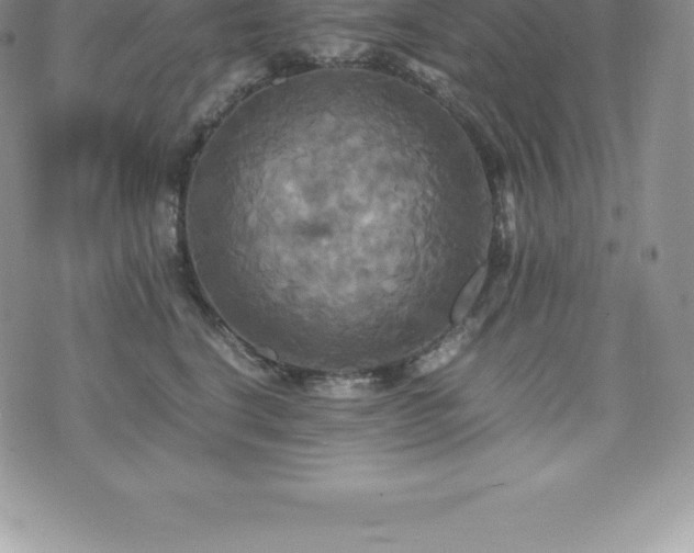 X0000075860664200609151227