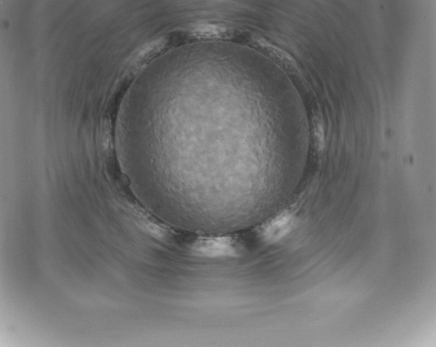 X0000075860665200609151227