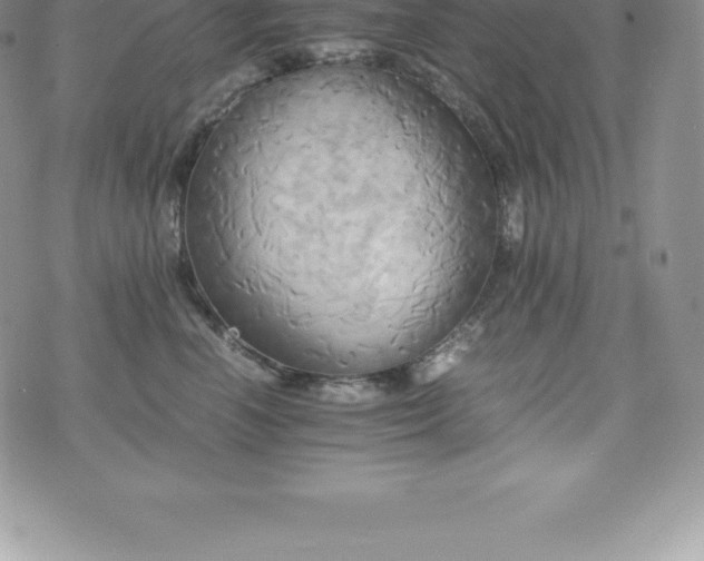 X0000075860666200609151227