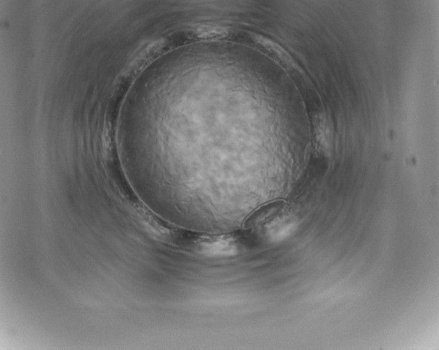 X0000075860667200609151227