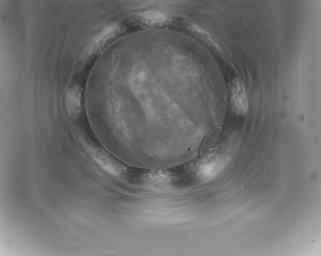 X0000075860668200609151227