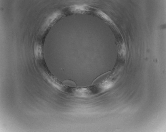 X0000075860669200609151227