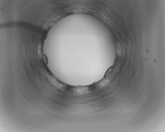 X0000075860670200609151227