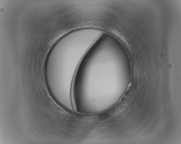 X0000075860673200609151227