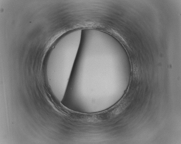 X0000075860674200609151226