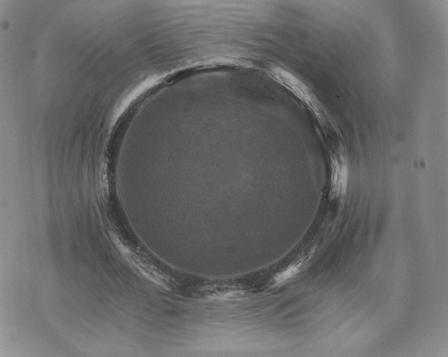 X0000075860676200609151226