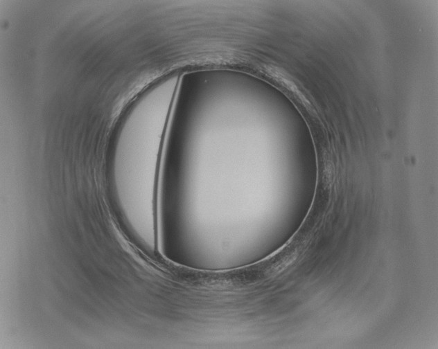 X0000075860677200609151226