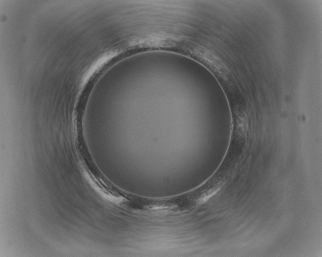 X0000075860678200609151226