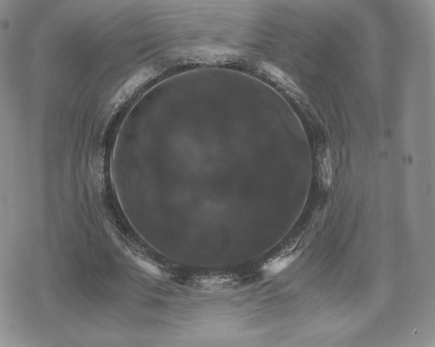 X0000075860679200609151226