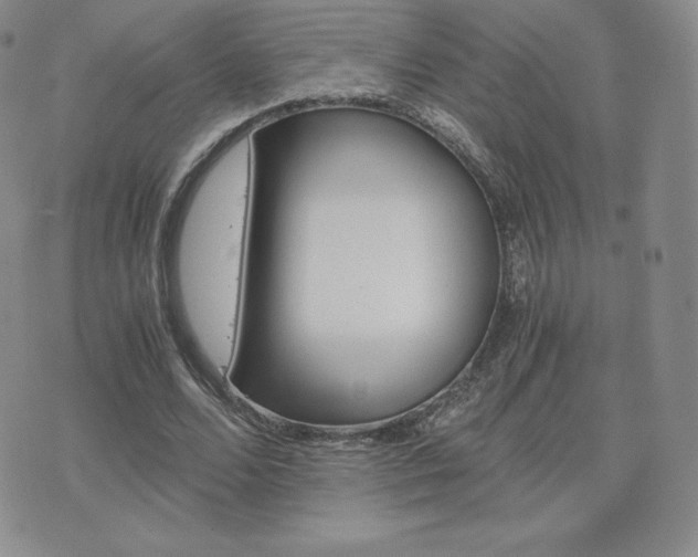 X0000075860680200609151226