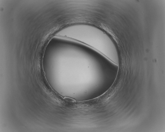 X0000075860681200609151226