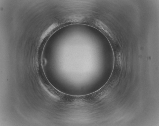 X0000075860682200609151226