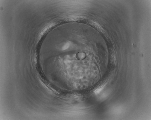 X0000075860683200609151226