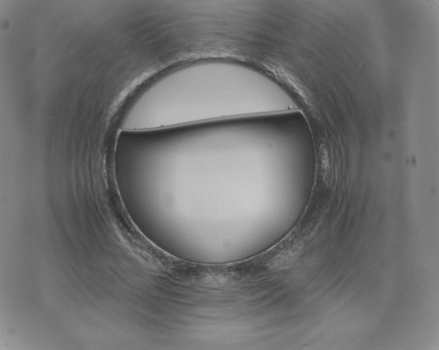 X0000075860684200609151226