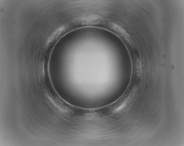 X0000075860686200609151226