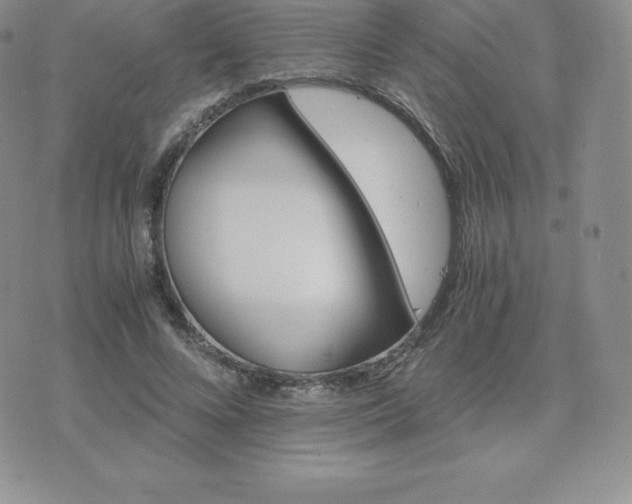 X0000075860688200609151226