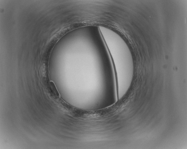 X0000075860689200609151226