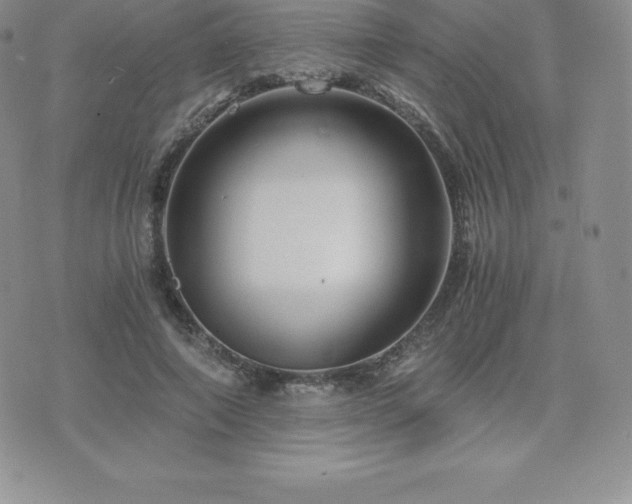 X0000075860690200609151226