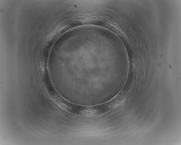 X0000075860691200609151226