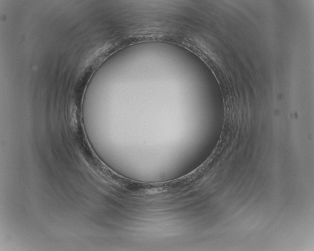 X0000075860692200609151226