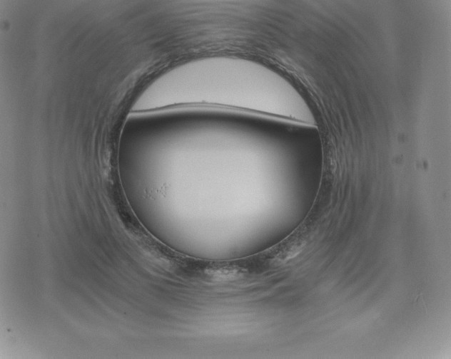 X0000075860693200609151226