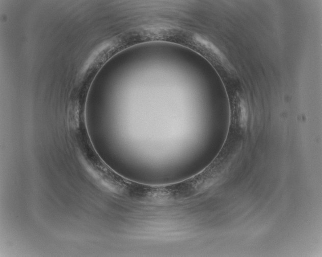 X0000075860694200609151226