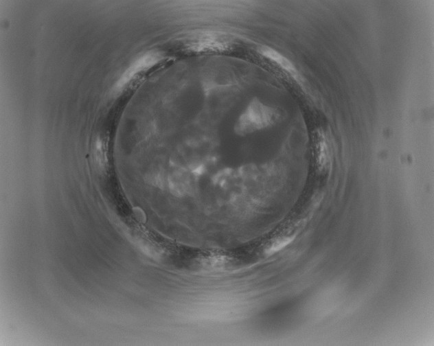 X0000075860695200609151226