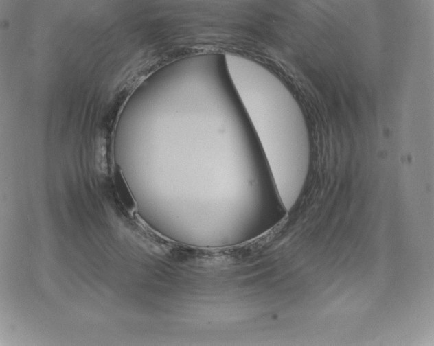 X0000075860696200609151226