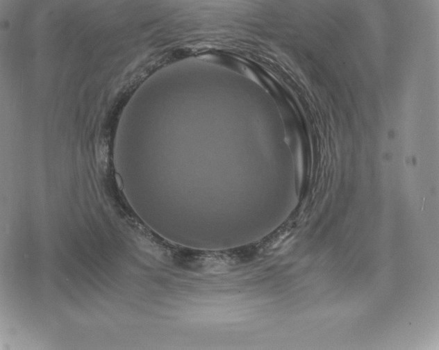 X0000075860697200609151226