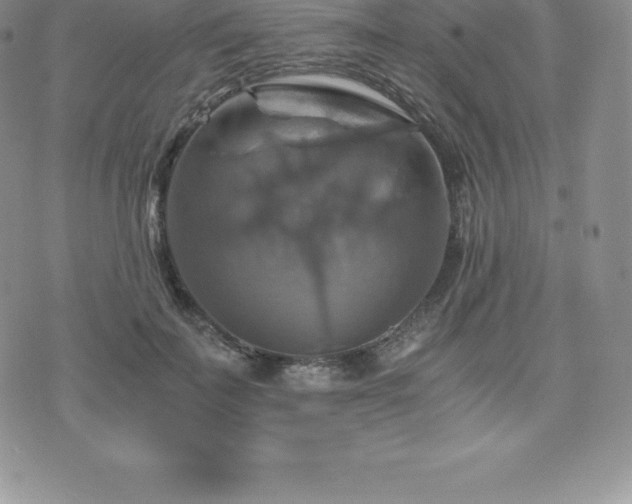 X0000075860699200609151226