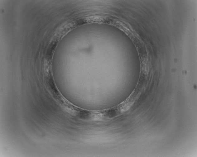 X0000075860701200609151226