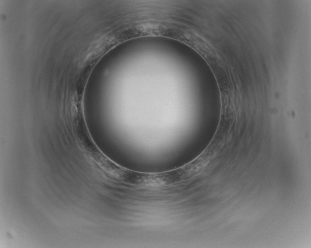 X0000075860702200609151226