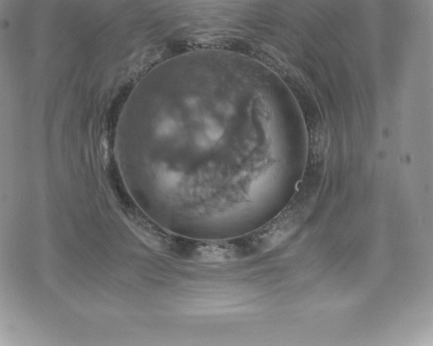 X0000075860703200609151226