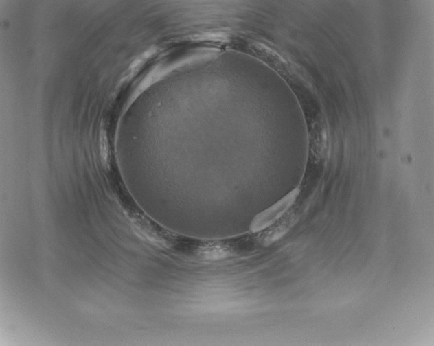 X0000075860704200609151226