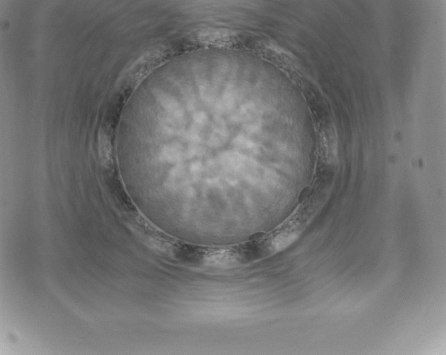 X0000075860705200609151226