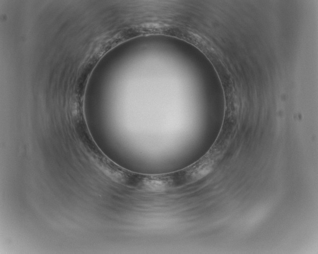 X0000075860706200609151226