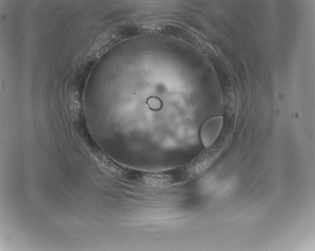 X0000075860707200609151226