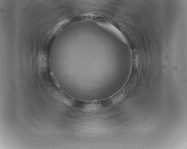 X0000075860708200609151226