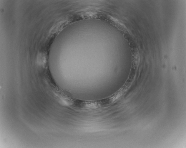 X0000075860709200609151226