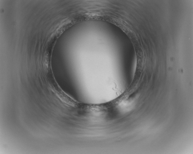 X0000075860710200609151226