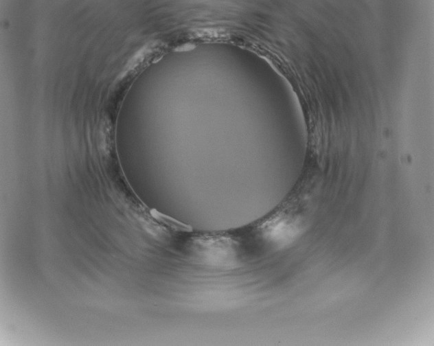 X0000075860712200609151226