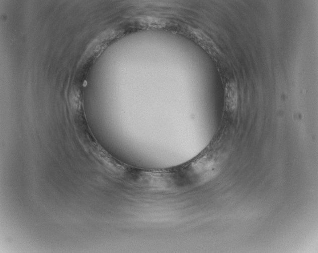 X0000075860713200609151226