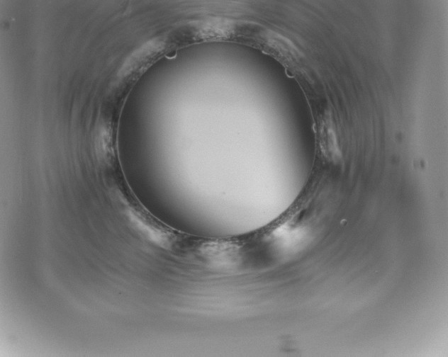 X0000075860714200609151226