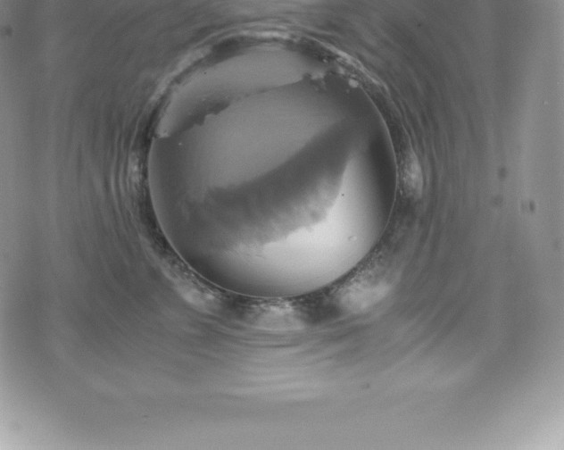 X0000075860715200609151226