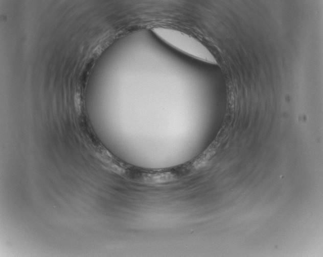 X0000075860716200609151226