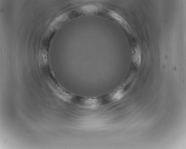 X0000075860718200609151226