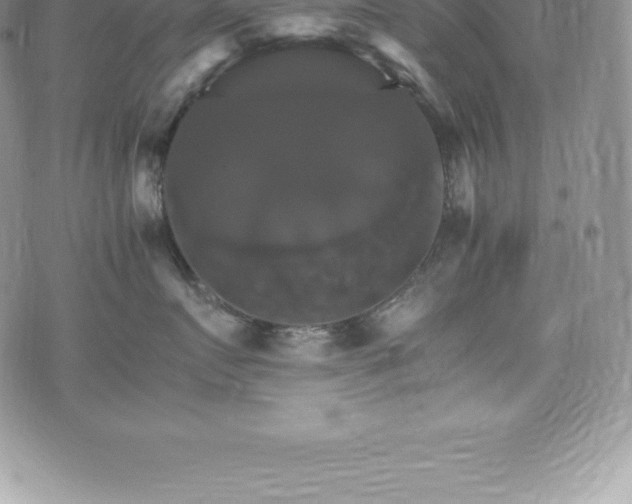 X0000075860719200609151226