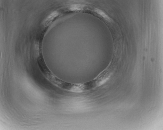 X0000075860720200609151226